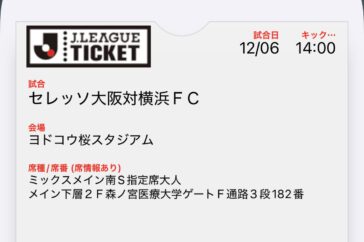 Screenshot des Tickets auf dem Mobiltelefon