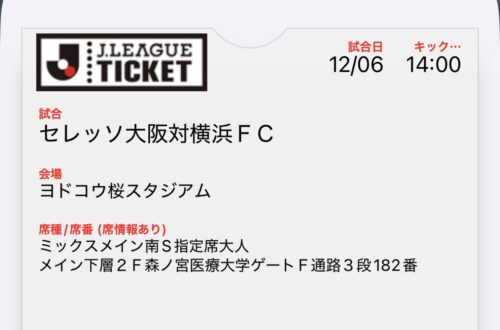 Screenshot des Tickets auf dem Mobiltelefon